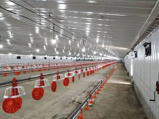 Estructura de acero galvanizado Casa de aves de corral Coop de pollo Edificios agrícolas prefabricados a medida