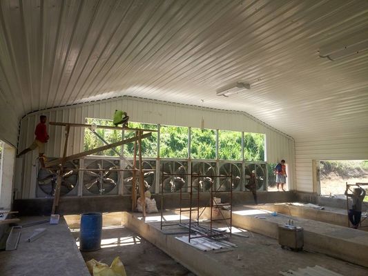 Estructura de acero ligero prefabricada Casita de aves de corral Revestimiento galvanizado Marco de acero gallina