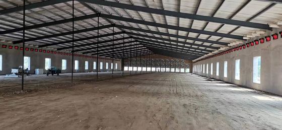 Construcción prefabricada de acero Casita de aves de corral Q235B Q355B Casita de pollo con marco de acero