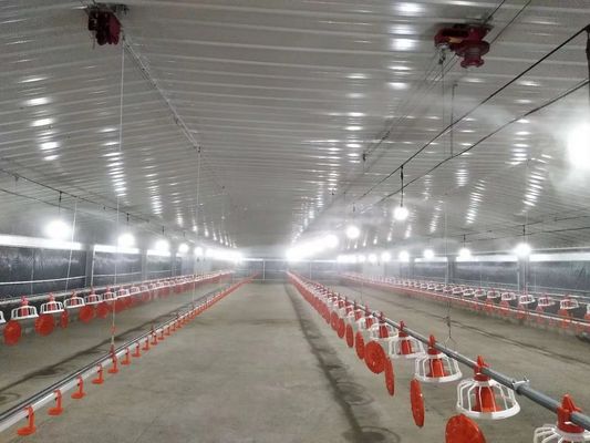Estructura de acero prefabricada galvanizada Casa de aves de corral Casa de pollo Coop A prueba de fuego