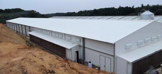 Estructura de acero de granja a medida Granjas de aves de corral Q235B Q355B Chapa de acero galvanizado