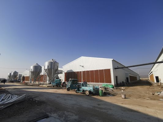 Anticorrosivo Galvanizado Antomático Completo Granja avícola Granja de aves Casa prefabricada
