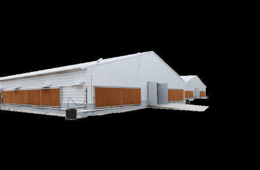 Muebles prefabricados de aves de corral estructura de acero equipo de cría de pollos totalmente automatizado