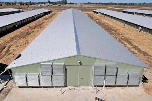 Construcción modular de acero Casa de pollo Broiler Casa de granja Granja de aves de corral Edificios de almacenes prefabricados