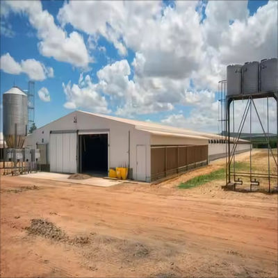 Diseño moderno aislamiento térmico impermeable casita de pollo colocación casita de pollo estructura de acero casita de aves