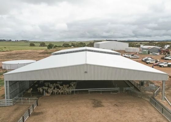 Nave de acero prefabricada de gran altura con estructura de acero y diseño de pared abierta