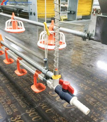 Granja de pollo de acero personalizada, edificios de granja de acero ligero