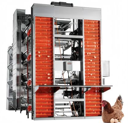 Equipo de cría de aves de corral automático de gallinas